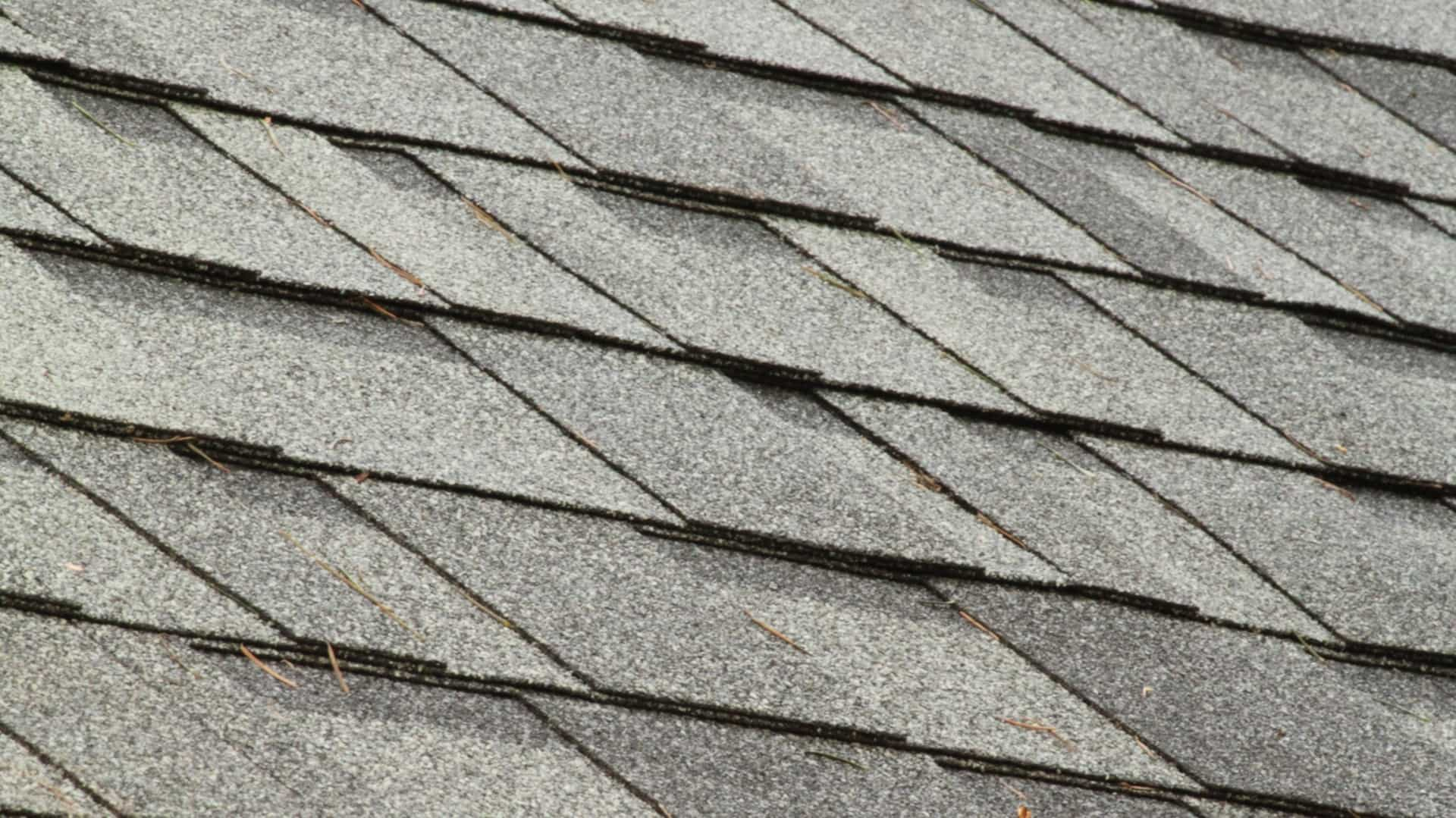 Shingles Banner Image