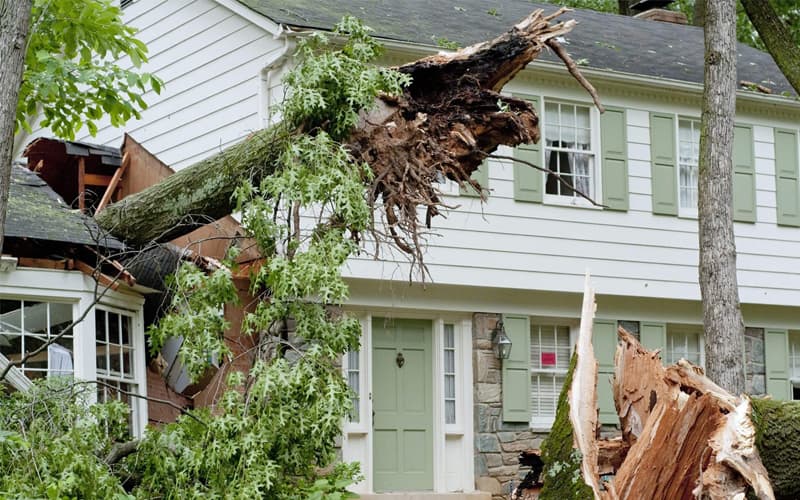 Storm Damage Image